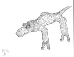 Drawing of Fantasy Lizard